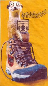 Hummeldumm, mit Südwestern auf Pad