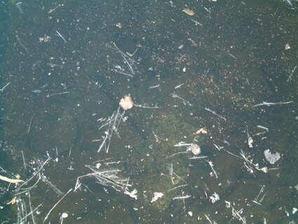 MGSV 02 011.geaendert