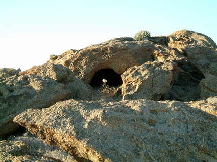 MGSV 02 014.geaendert