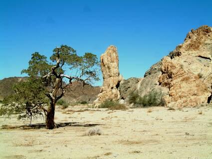 MGSV 02 052.geaendert