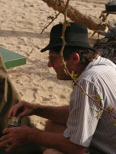 OLYMPUS DIGITAL CAMERA