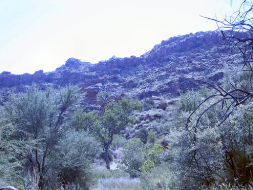 OLYMPUS DIGITAL CAMERA