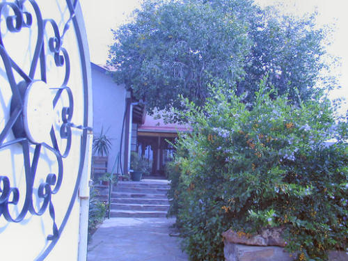 OLYMPUS DIGITAL CAMERA