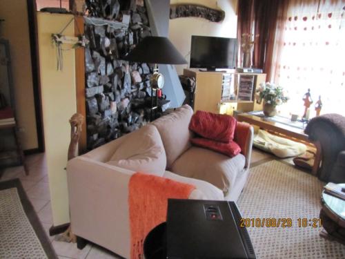 grosser Baum-IMG 0021