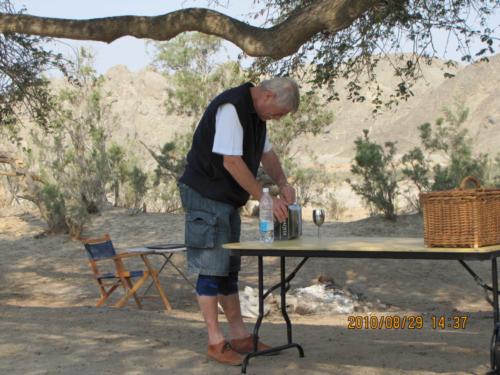 grosser Baum-IMG 0023