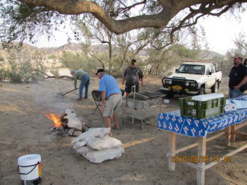 grosser Baum-IMG 0024