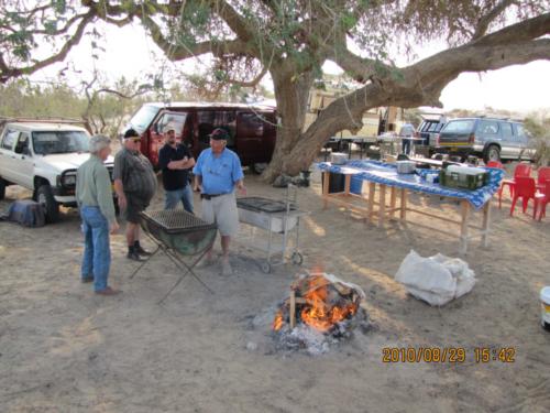 grosser Baum-IMG 0025