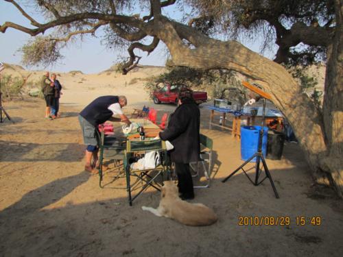 grosser Baum-IMG 0026