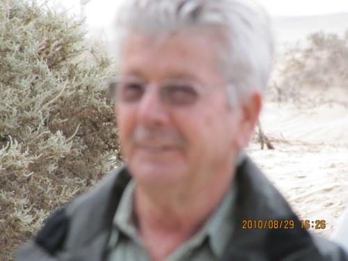 grosser Baum-IMG 0028