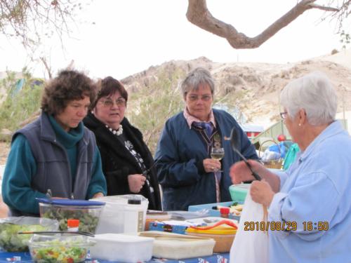 grosser Baum-IMG 0036