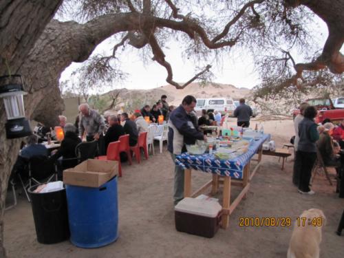 grosser Baum-IMG 0043