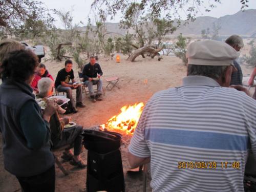 grosser Baum-IMG 0044