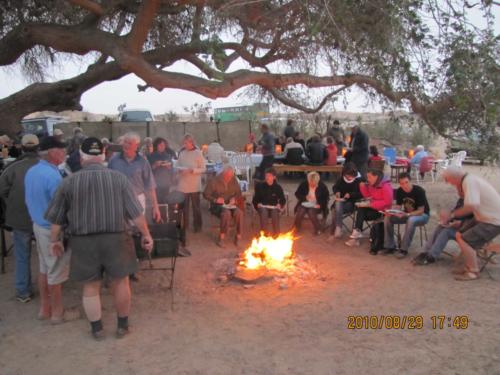 grosser Baum-IMG 0045