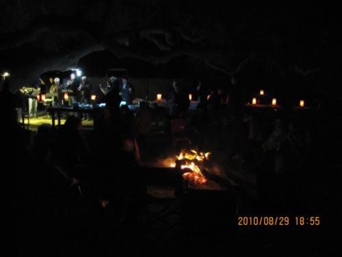 grosser Baum-IMG 0046