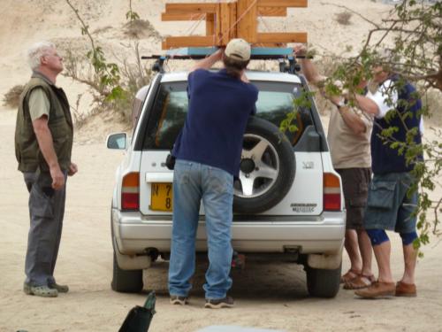 grosser Baum-P1000181