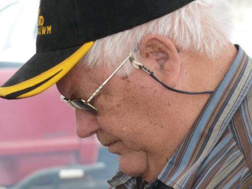 grosser Baum-P1000184