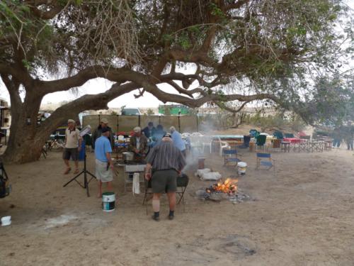 grosser Baum-P1000186