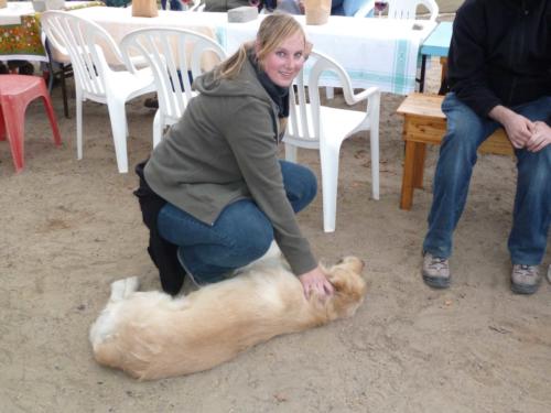 grosser Baum-P1000187