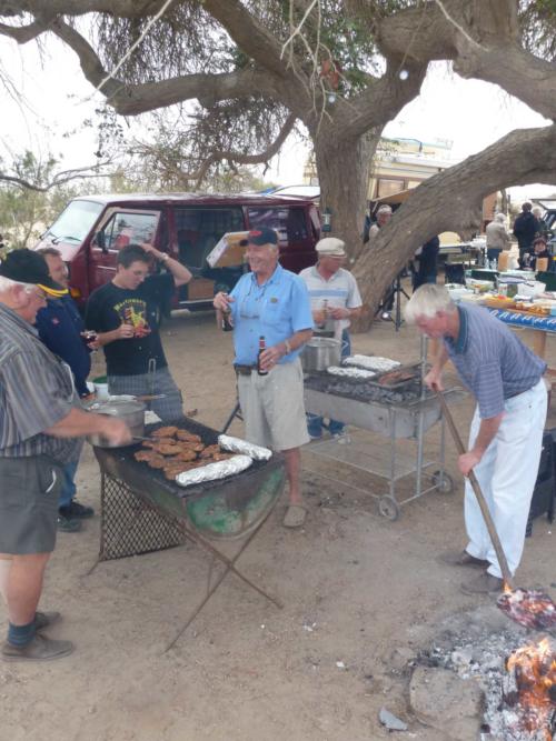 grosser Baum-P1000188