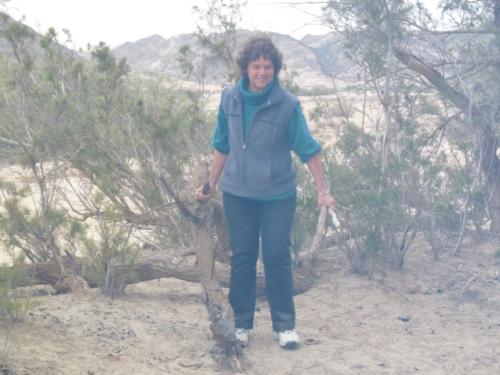 grosser Baum-P1000189