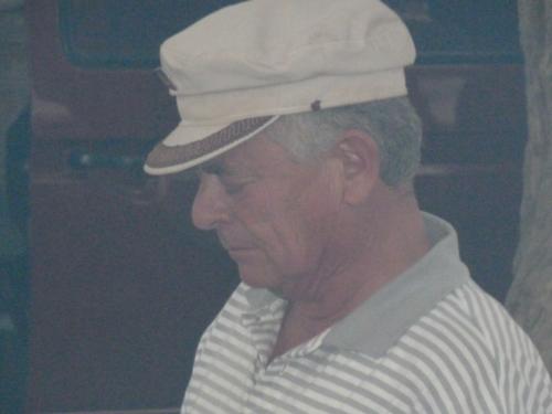 grosser Baum-P1000190