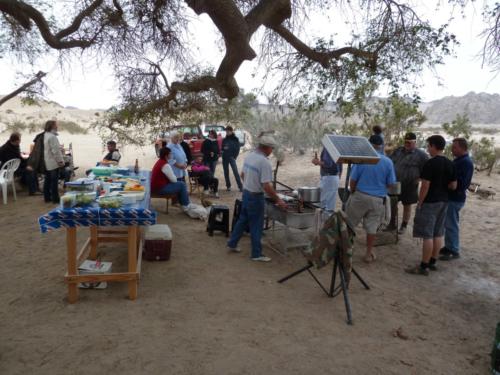 grosser Baum-P1000191