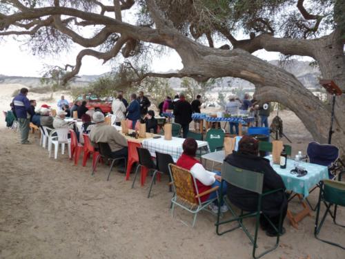 grosser Baum-P1000192