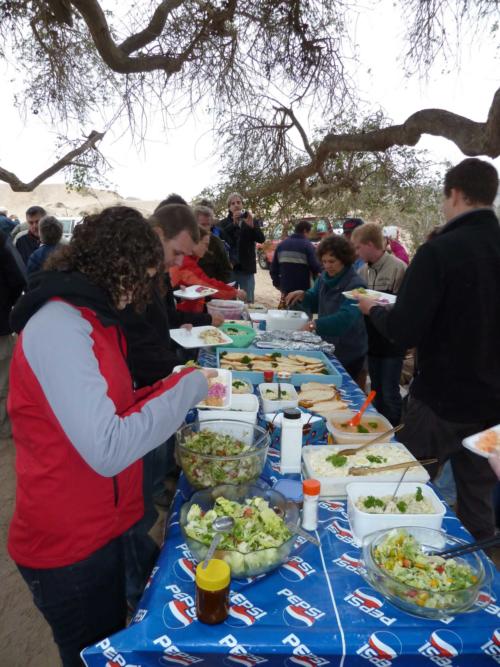 grosser Baum-P1000193