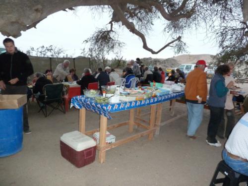 grosser Baum-P1000195