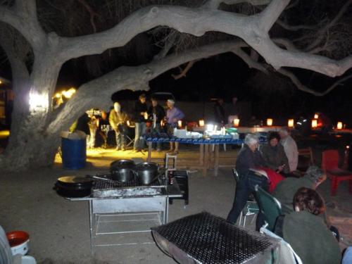 grosser Baum-P1000199