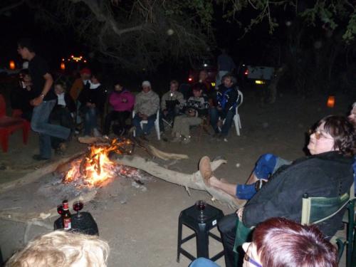 grosser Baum-P1000200