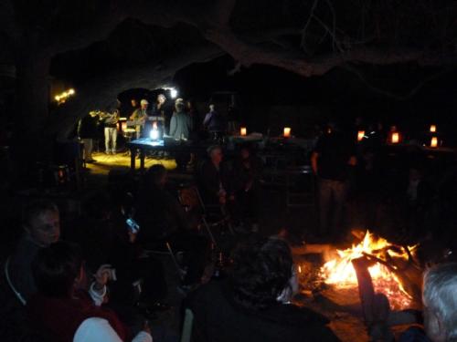 grosser Baum-P1000201