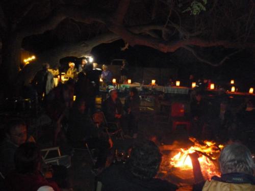 grosser Baum-P1000202