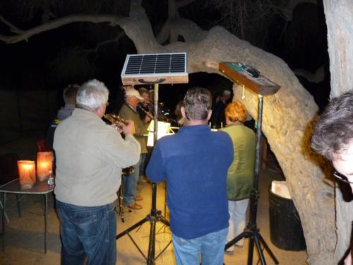 grosser Baum-P1000204