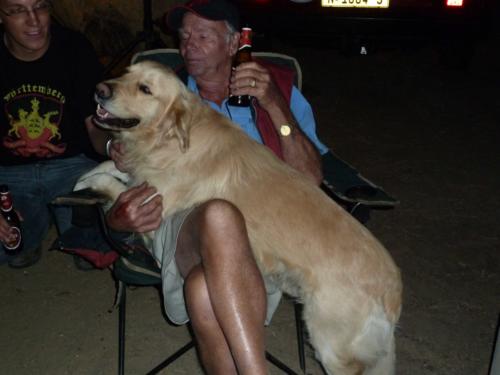 grosser Baum-P1000209