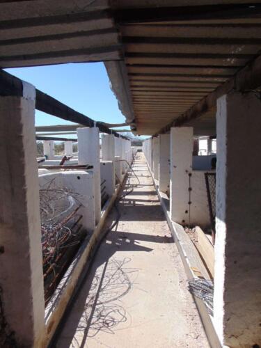 SMGV-Walpurgis-2022-103_resized