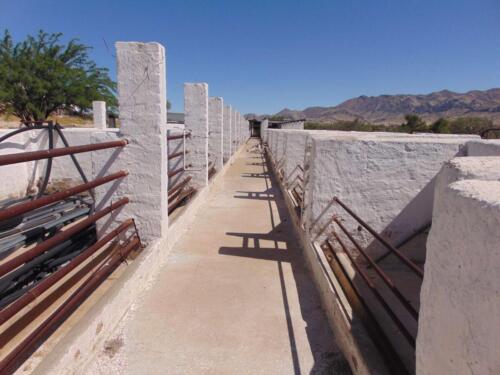 SMGV-Walpurgis-2022-104_resized