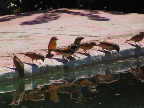 SMGV-Walpurgis-2022-105_resized