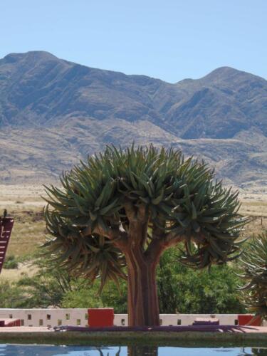 SMGV-Walpurgis-2022-108_resized