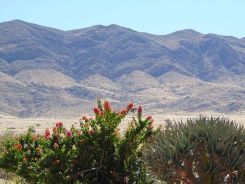 SMGV-Walpurgis-2022-109_resized