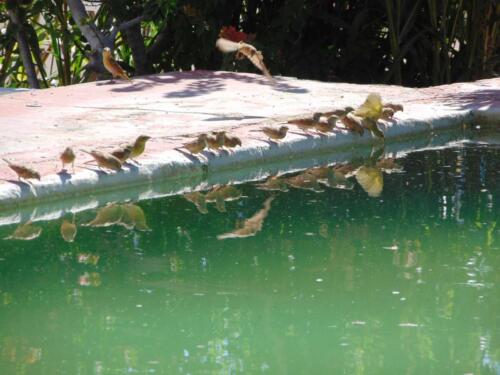 SMGV-Walpurgis-2022-110_resized