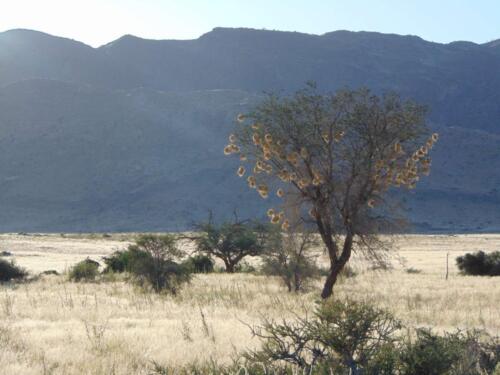 SMGV-Walpurgis-2022-114_resized