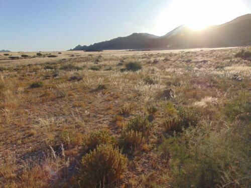 SMGV-Walpurgis-2022-117_resized