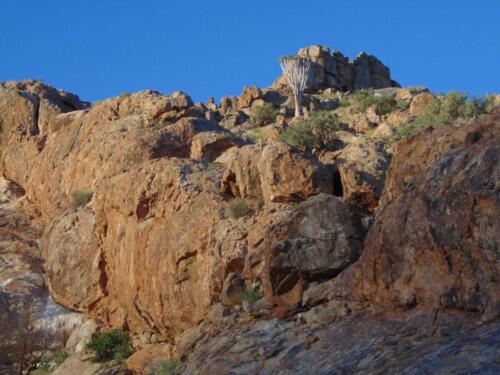 SMGV-Walpurgis-2022-122_resized