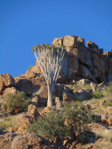 SMGV-Walpurgis-2022-123_resized