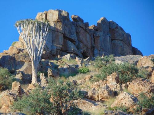 SMGV-Walpurgis-2022-124_resized