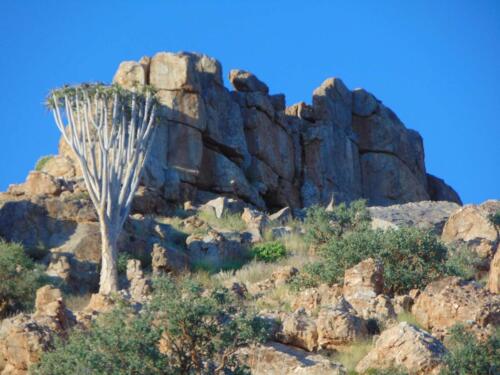 SMGV-Walpurgis-2022-125_resized