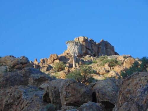 SMGV-Walpurgis-2022-126_resized