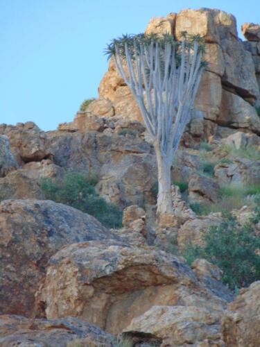 SMGV-Walpurgis-2022-127_resized