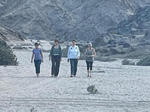 WhatsApp Image 2021-12-12 at 11.32.39